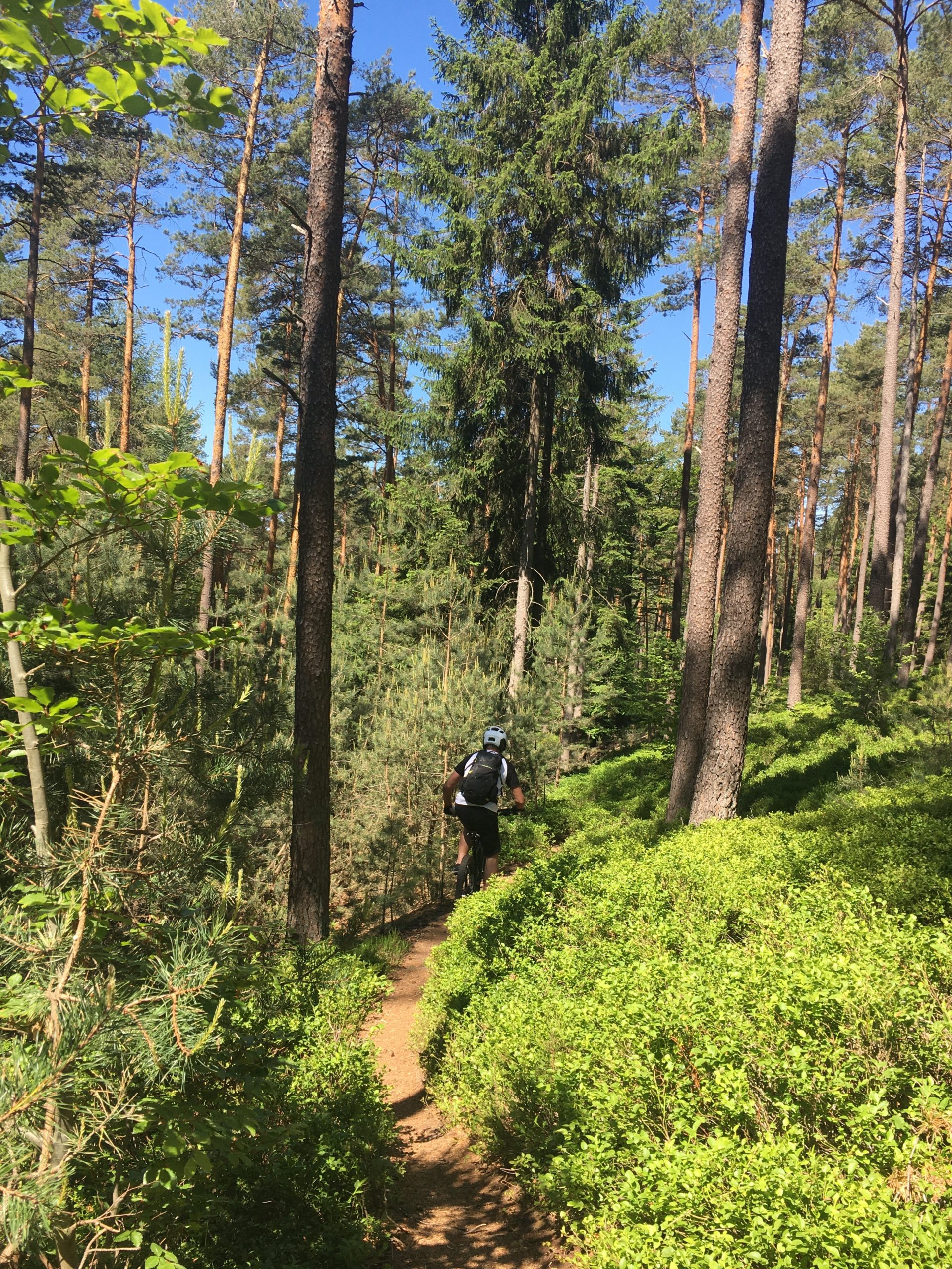 Trail von hinten 1