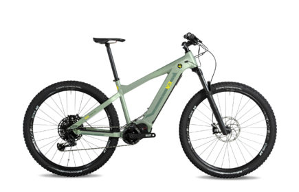 XC-Trail-Expert-Olive-gerade-rechtes-Produktbild XC-Trail-Expert-Olive-gerade-rechtes-Produktbild